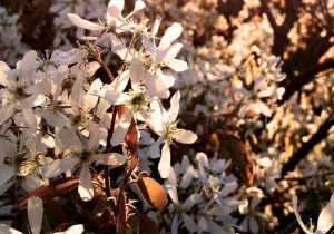 Curabitur luctus tortor non quam