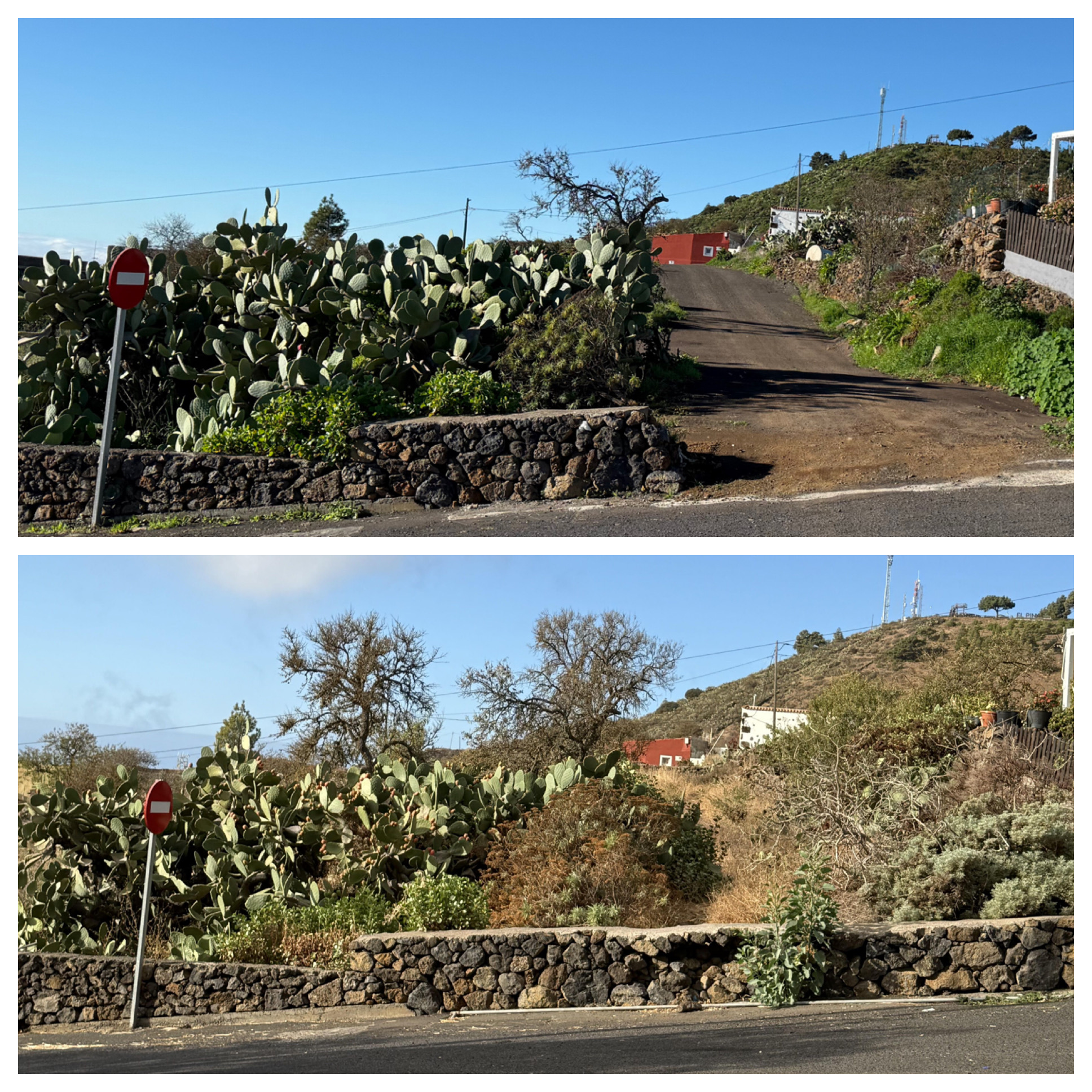 El Pinar-Las Paredejas2 El Pinar-Las Paredejas2