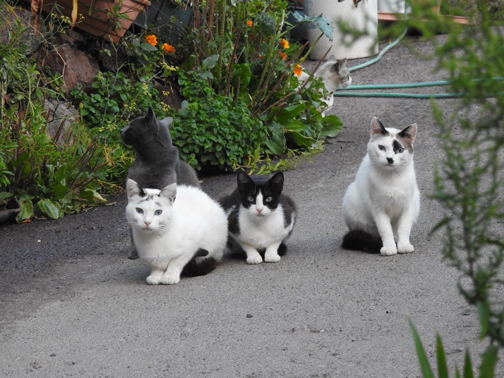 FOTO;AYTO DE EL PINAR FOTO;AYTO DE EL PINAR