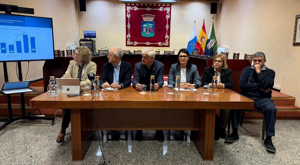 RP II Informe Anual El Hierro 2025 (2) RP II Informe Anual El Hierro 2025 (2)